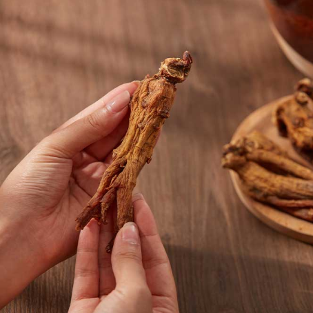 2025 Premium Deer Antler Red Ginseng Stick (15g x 30 sticks)