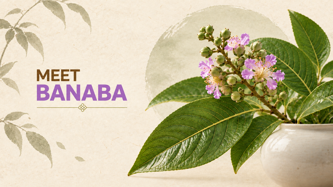 Have You Heard of Banaba Leaf?