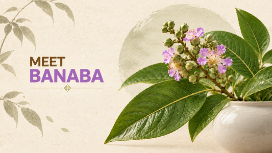 Have You Heard of Banaba Leaf?