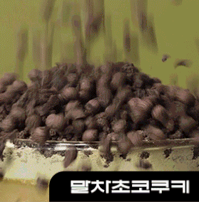 [NEW] Diet Management Protein Shake - Matcha Chocolate Cookie Flavor 560g