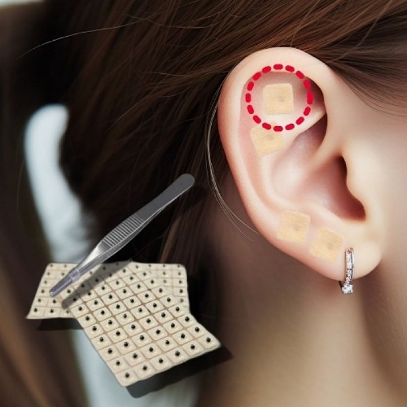 Daily Therapy Acupressure Ear Seed Stickers, 1 Pack (600 patches)