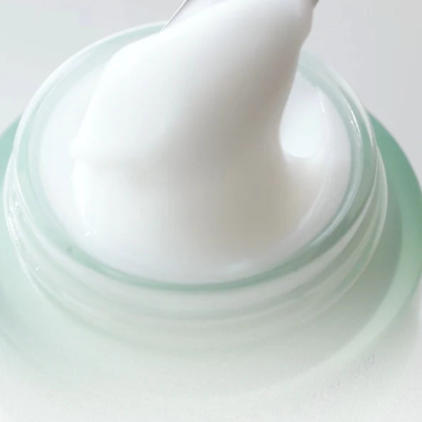 Young Artemisia Calming Moisture Cream 55ml